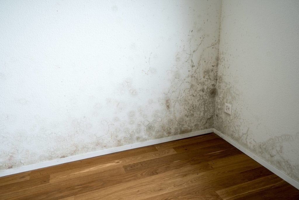 How to Remove Water Stains from Walls and Ceilings