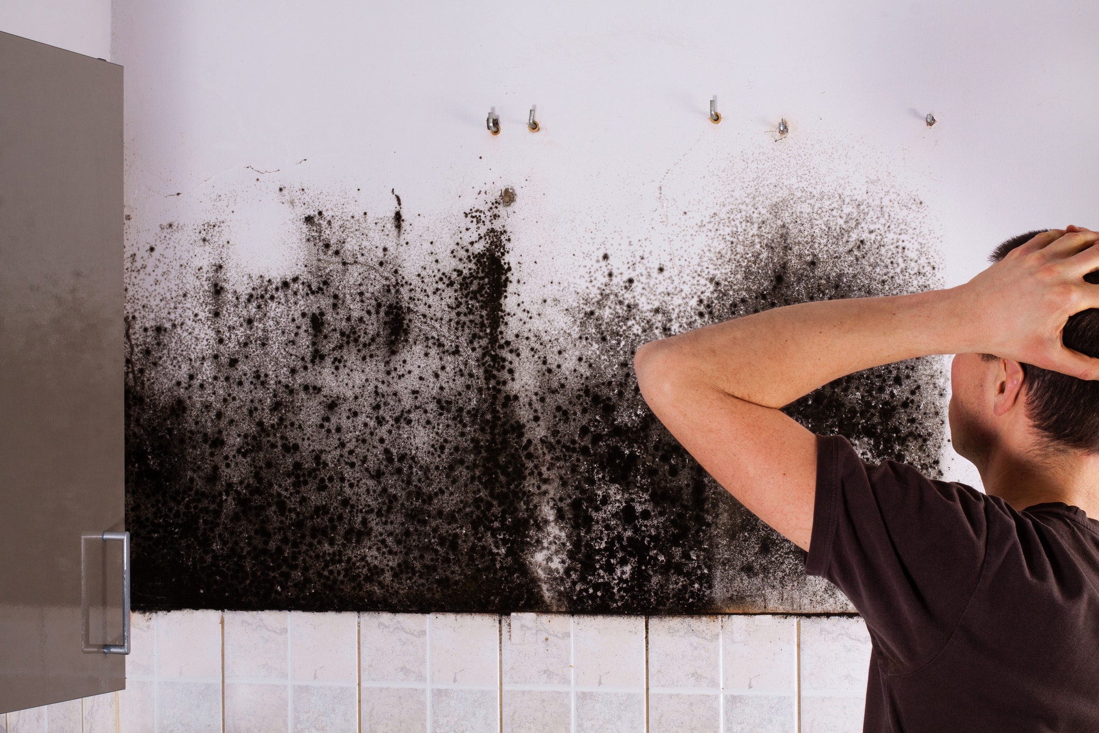 Can I Stay In My House With Black Mold - Avalon Home Inspections