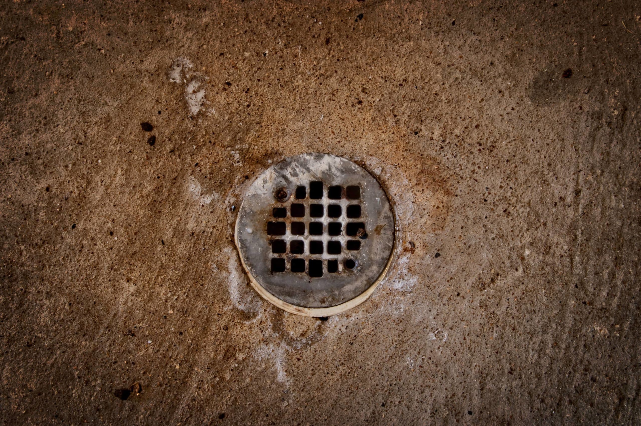 5 Common Clogged Drain Causes and How You Can Fix Them Quick