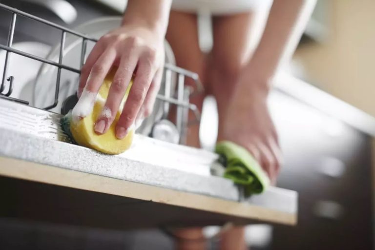 6 Steps to Unclog Dishwasher Drain Avalon Home Inspections