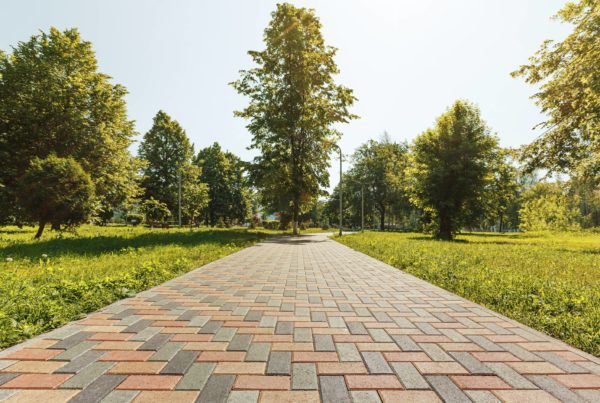Clean brick pavers