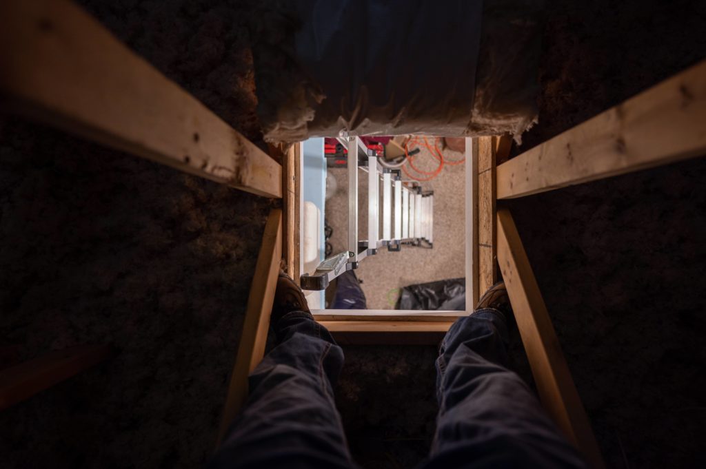 Open attic space with ladder