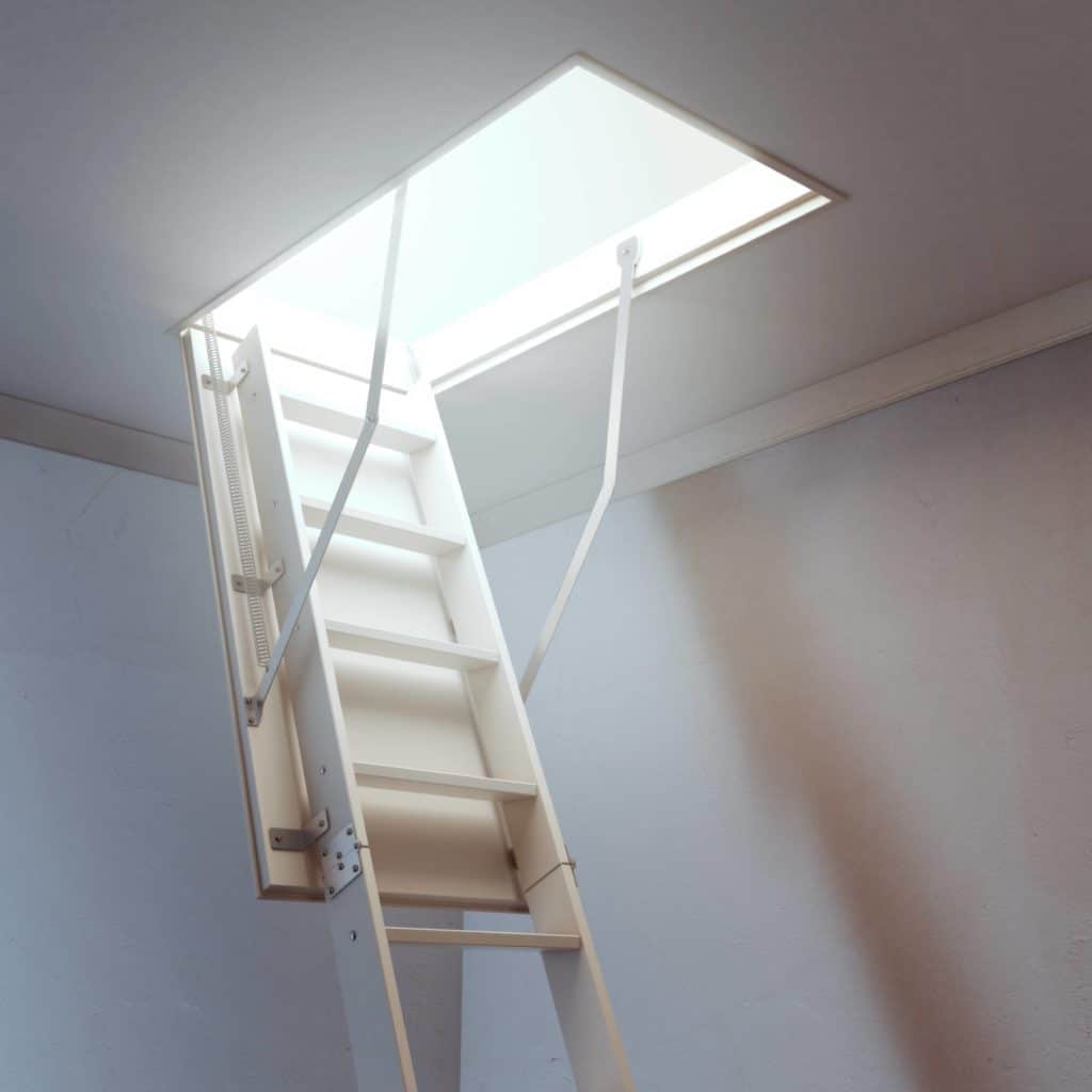 Attic scuttle or roof scuttle ladder