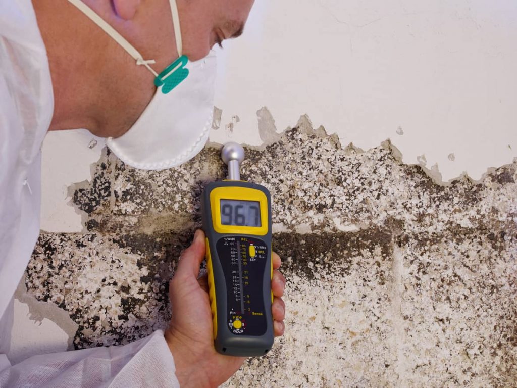 Mold inspection is an ancillary service.