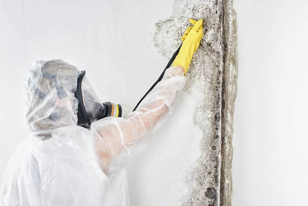 Mold in the home