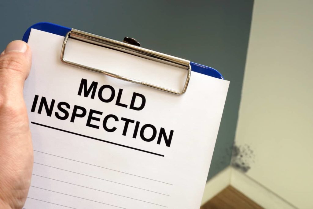 Mold Testing Equipment .Types, Uses, Accuracy