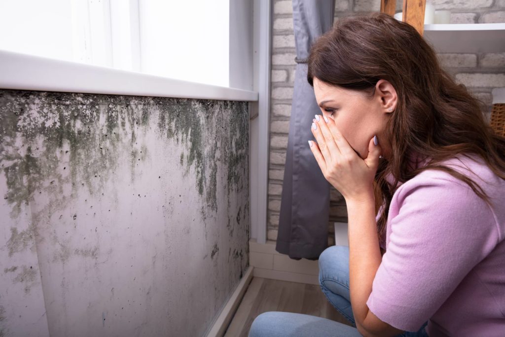 Mold spreads quickly in the home, especially in humid areas.