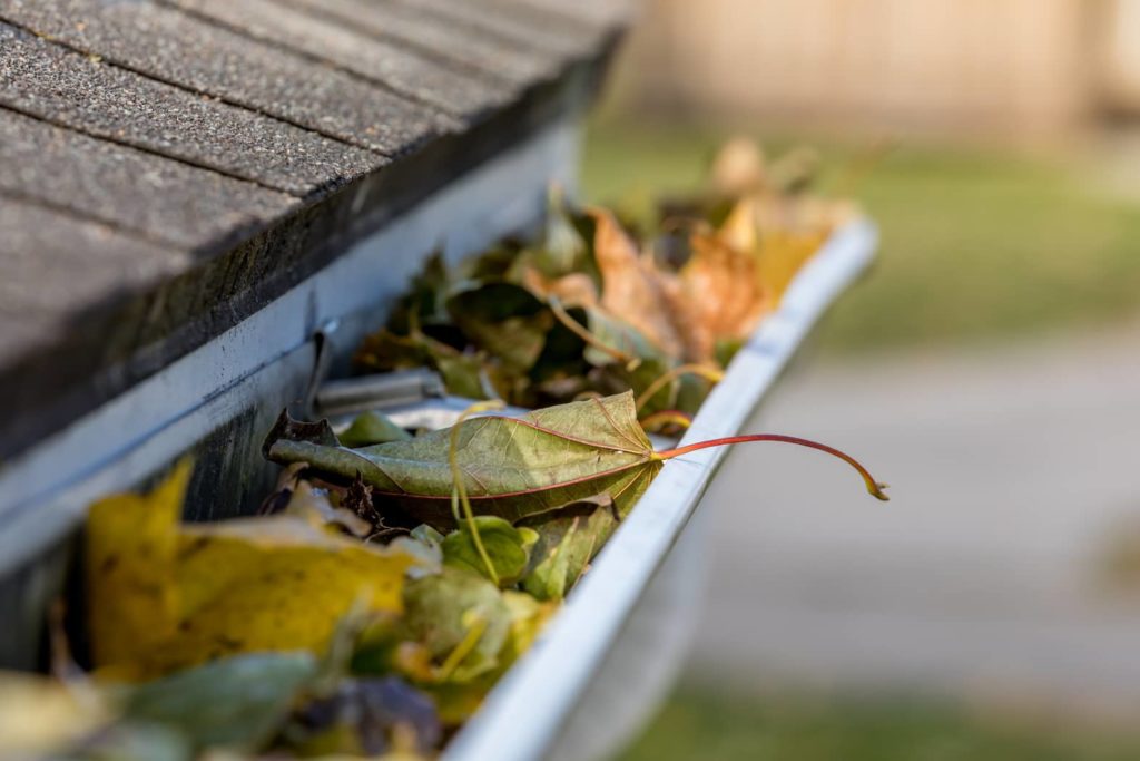 Make sure to empty your gutters regularly after heavy storms. 