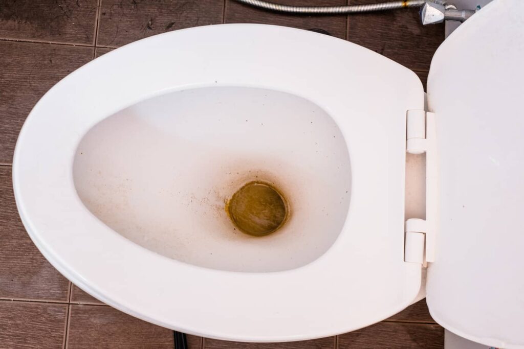 Don't forget to use vinegar to help clean brown stains in your toilet bowl. 