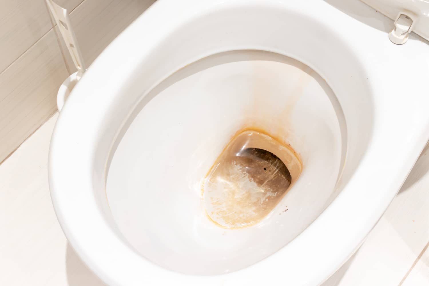 What Causes Black Stains in Your Toilet & How to Fix It