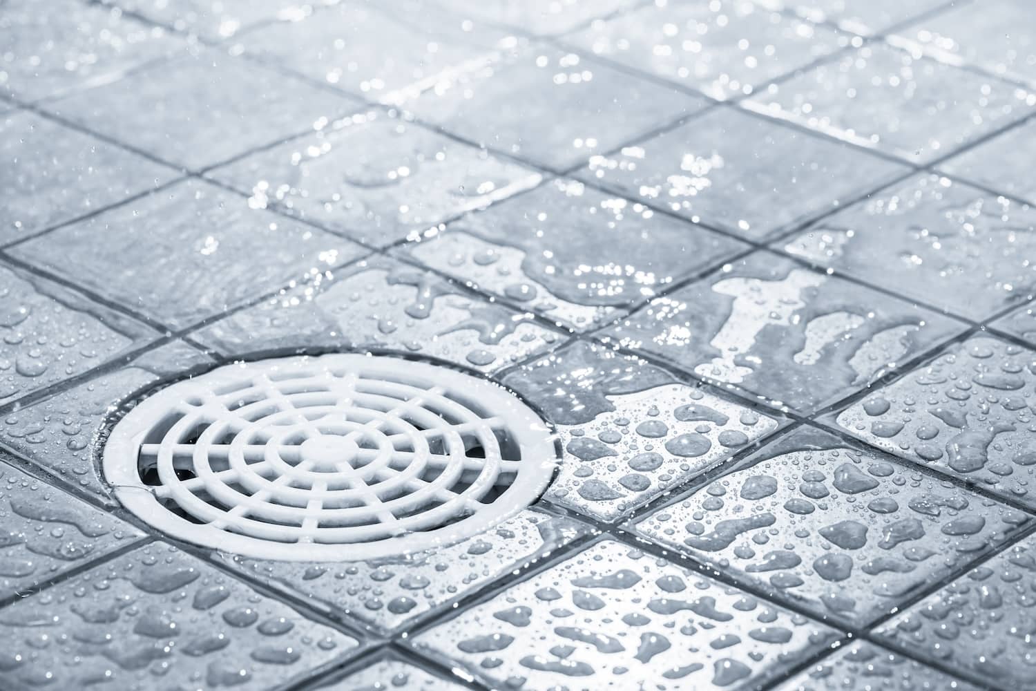 The Hidden Reasons Why Your Shower Drain Smells