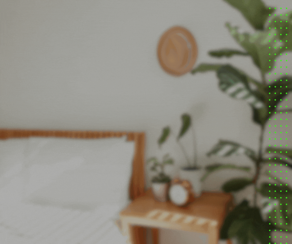 house plants are effective at cleaning indoor air
