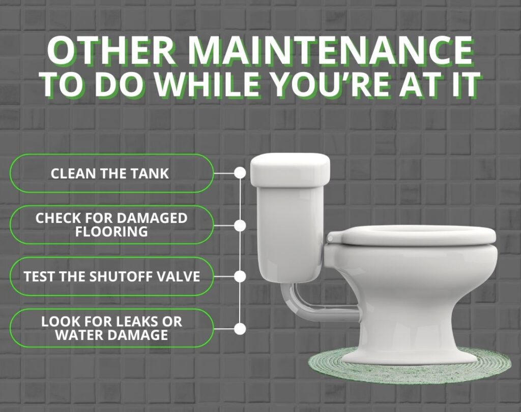 other maintenance while you install a toilet seat