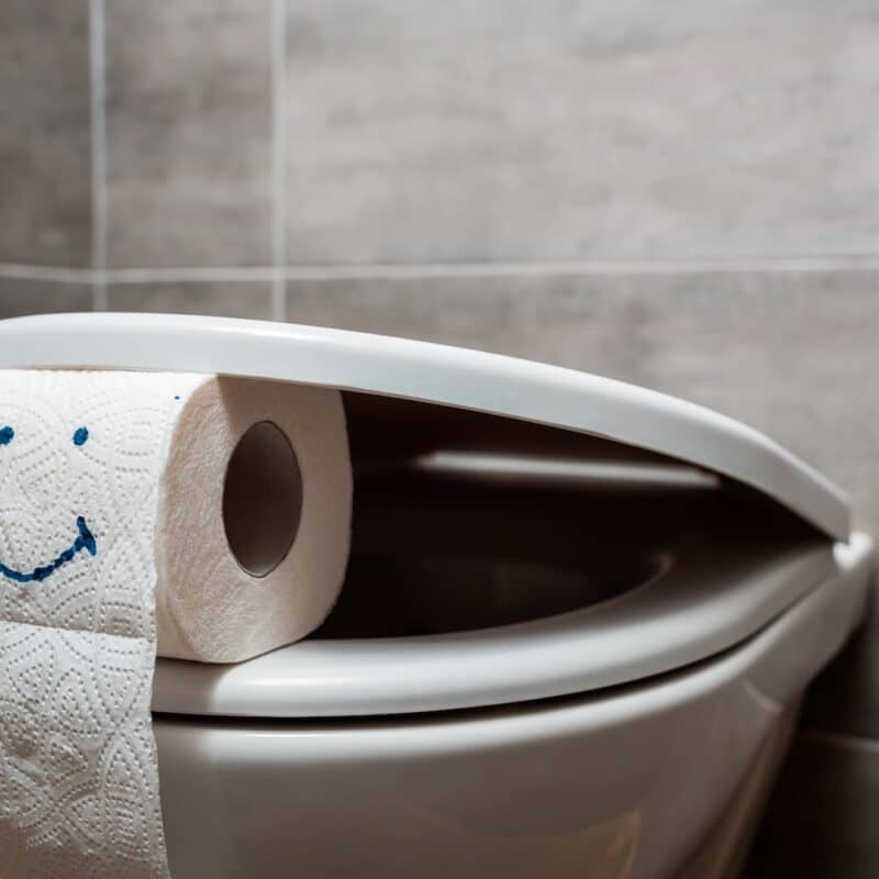 How to Install a New Toilet Seat (Even if You Aren't Handy)