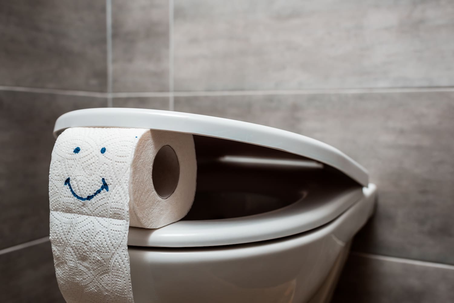 How to Install a New Toilet Seat (Even if You Aren't Handy)