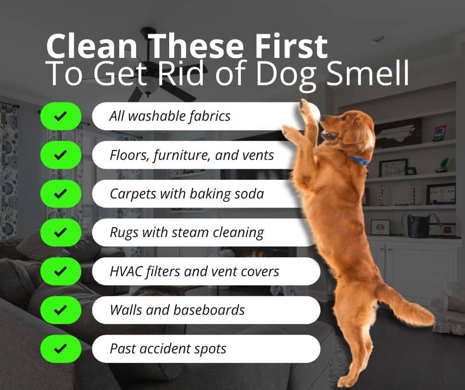 Get the Dog Smell Out of Your House